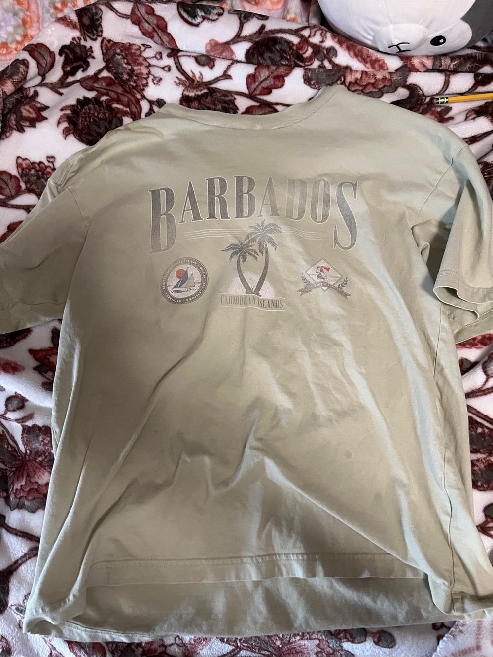 American Eagle Outfitters Khaki Barbados Graphic Short-Sleeve Tee